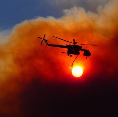 In Memory of Thinus Steenkamp